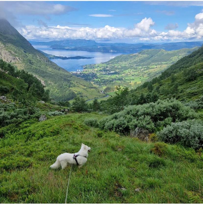 Rosendal Hyttetun Buitenkant foto